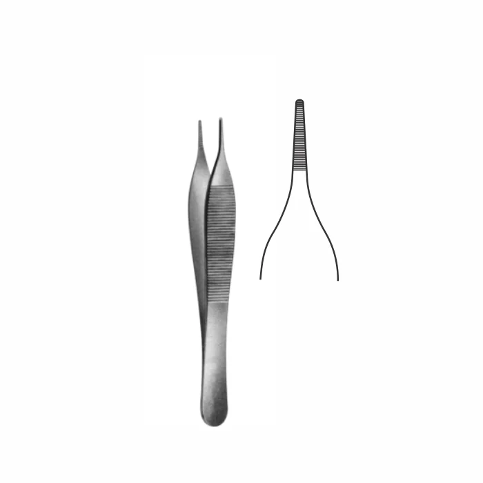 Dissecting Forceps – Surgical Instruments
